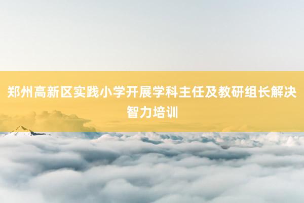 郑州高新区实践小学开展学科主任及教研组长解决智力培训