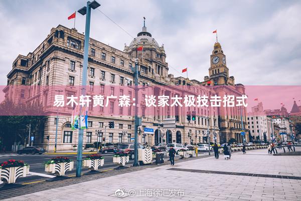 易木轩黄广森：谈家太极技击招式