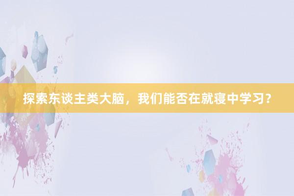 探索东谈主类大脑，我们能否在就寝中学习？