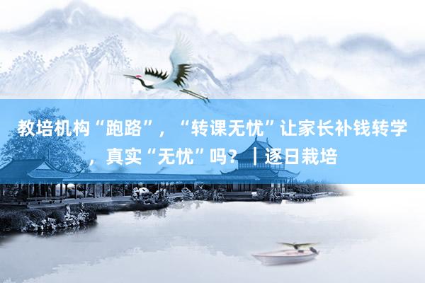 教培机构“跑路”，“转课无忧”让家长补钱转学，真实“无忧”吗？｜逐日栽培