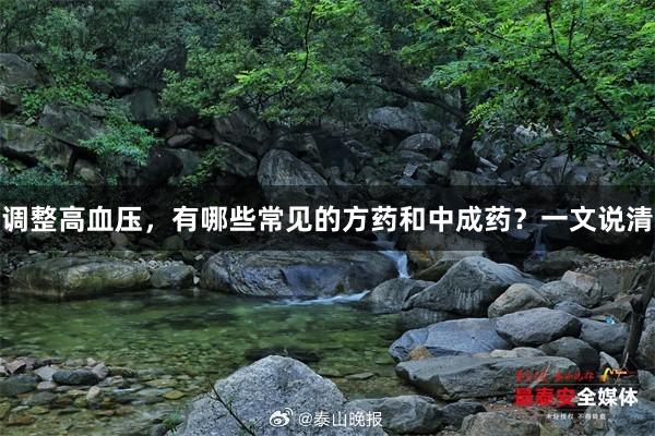 调整高血压,有哪些常见的方药和中成药?一文说清