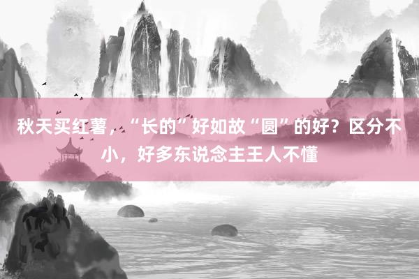 秋天买红薯，“长的”好如故“圆”的好？区分不小，好多东说念主王人不懂