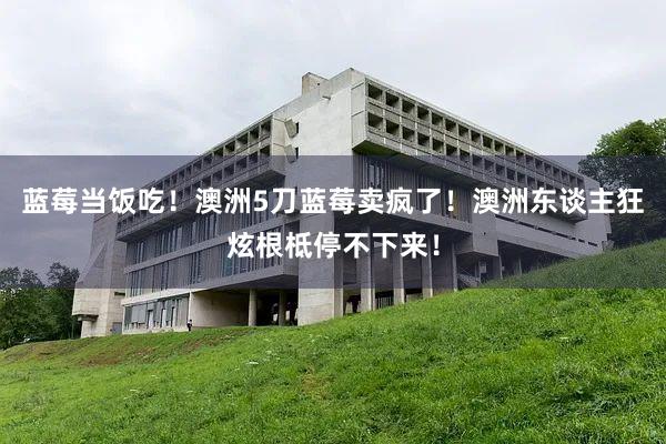 蓝莓当饭吃！澳洲5刀蓝莓卖疯了！澳洲东谈主狂炫根柢停不下来！