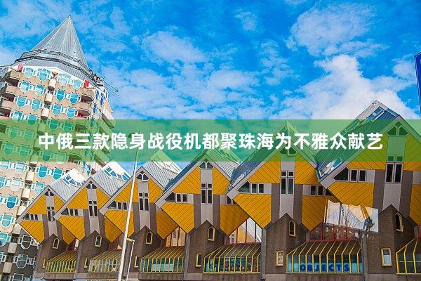 中俄三款隐身战役机都聚珠海为不雅众献艺