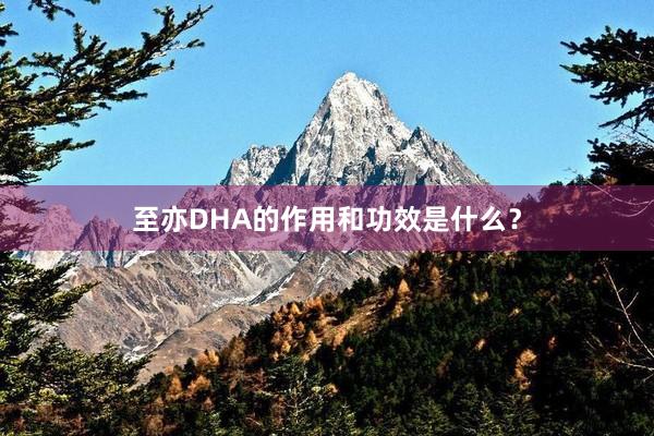 至亦DHA的作用和功效是什么？