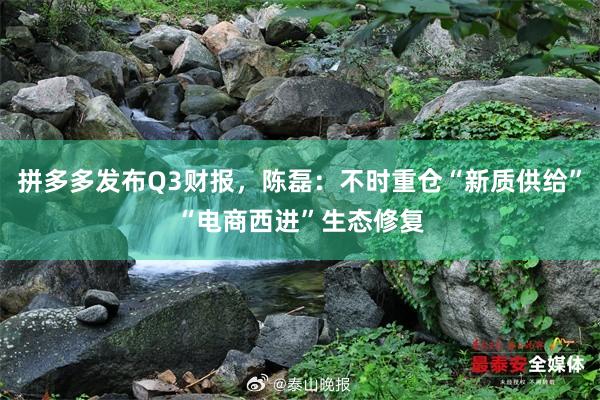 拼多多发布Q3财报，陈磊：不时重仓“新质供给”“电商西进”生态修复