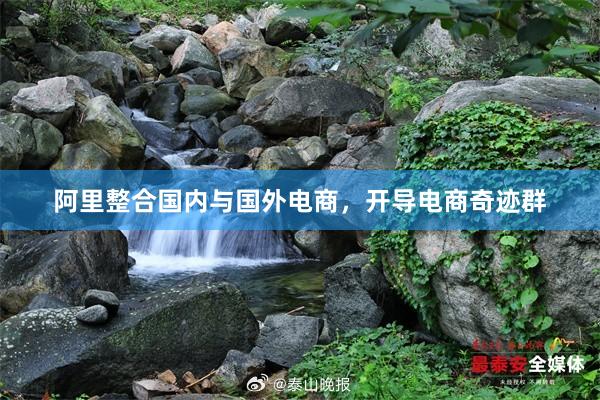 阿里整合国内与国外电商，开导电商奇迹群