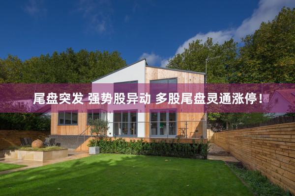 尾盘突发 强势股异动 多股尾盘灵通涨停！