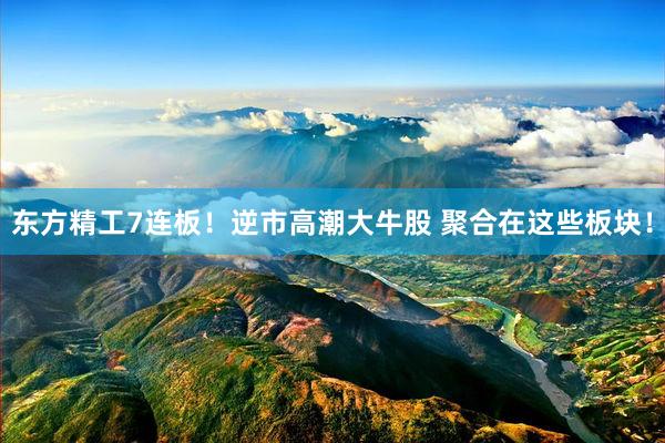 东方精工7连板！逆市高潮大牛股 聚合在这些板块！