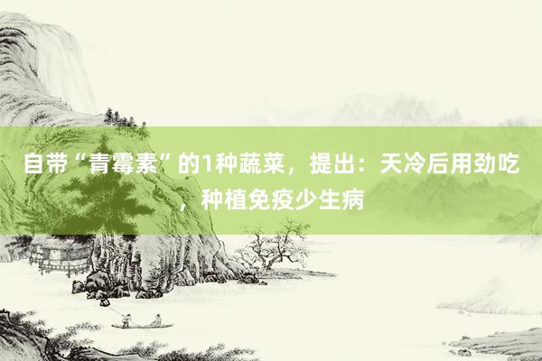 自带“青霉素”的1种蔬菜，提出：天冷后用劲吃，种植免疫少生病