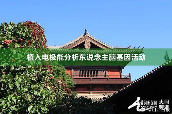 植入电极能分析东说念主脑基因活动