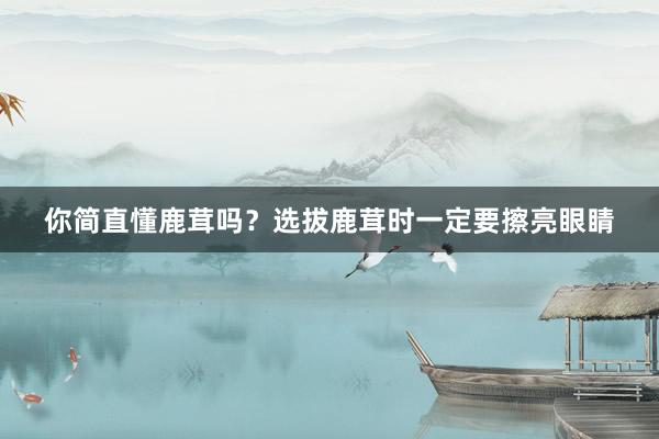 你简直懂鹿茸吗？选拔鹿茸时一定要擦亮眼睛